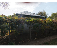 Vand Casa batraneasca cu gradina