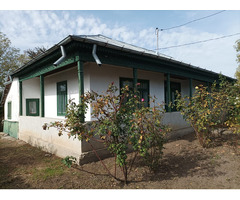 Vand Casa batraneasca cu gradina