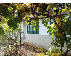 Vand Casa batraneasca cu gradina - 7