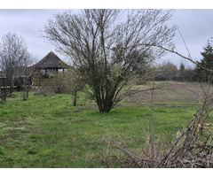 (BUCURESTI/TARTASESTI) Terenuri intravilan - INVESTITIE - 7