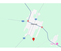 5000 metri teren arabil in Pogoanele, Judetul Buzau