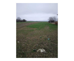 Vand teren de casa in Letea Veche, zona Halasanu