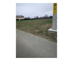 Vand teren de casa in Letea Veche, zona Halasanu