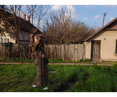 Casa cu teren Ungaria