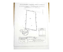 Teren 6568 mp zona subcarpatica linistita si retrasa - Com. Varfuri, DB - 100 km de Bucuresti