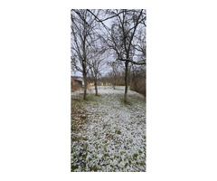 Schimb casa la tara cu apartment in cluj  Prefer parter sau etaj 1, bloc cu lift