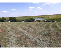 LAC MOSTISTEA - TEREN 9200 mp la cca 47 min pe Autostrada Soarelui din Pta Unirii