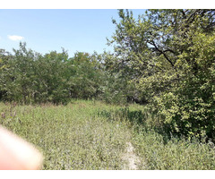 LAC MOSTISTEA - TEREN 9200 mp la cca 47 min pe Autostrada Soarelui din Pta Unirii