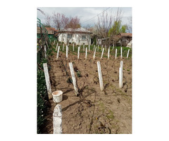 Vand casa cu teren Comuna Olari Sat Fanari Judetul Prahova