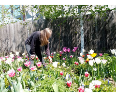 Proprietate deosebită Vilă și Teren la 16 km de București - 6