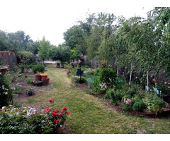 Proprietate deosebită Vilă și Teren la 16 km de București - 8