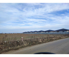 Vand Teren Intravilan/Extravilan 12.070 mp Com. Ciocanesti, Dambovita - 7