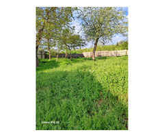 Casă bătrânească de vânzare