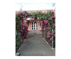 Casa de vanzare in loc. Vasad, jud. Bihor.