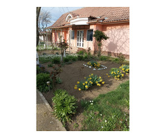 Casa de vanzare in loc. Vasad, jud. Bihor.