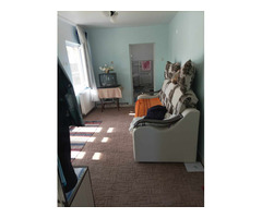 Casa de vanzare in loc. Vasad, jud. Bihor.