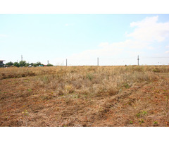 Teren Vama Veche 488m2