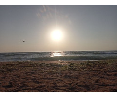 Teren Vama Veche 488m2